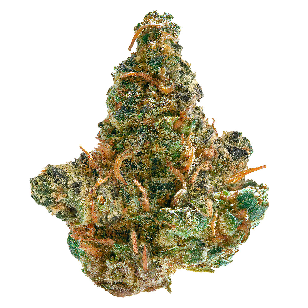 Frosted Cream Puffs 3.5g Dried Flower